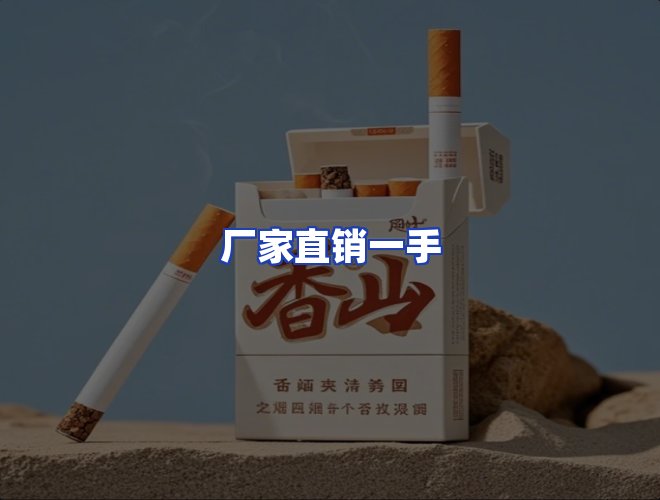 专业团队